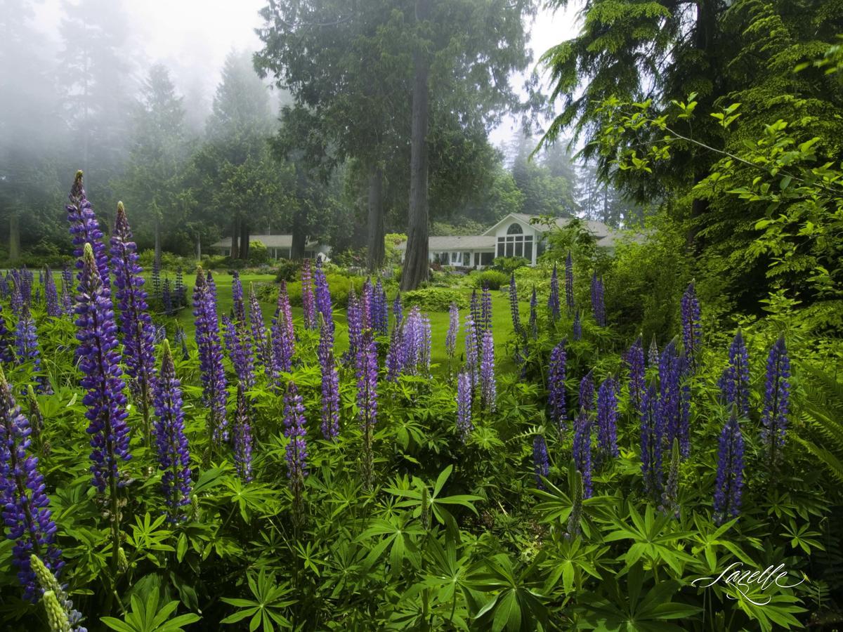 Colette'S Bed & Breakfast Порт-Анджелес Экстерьер фото